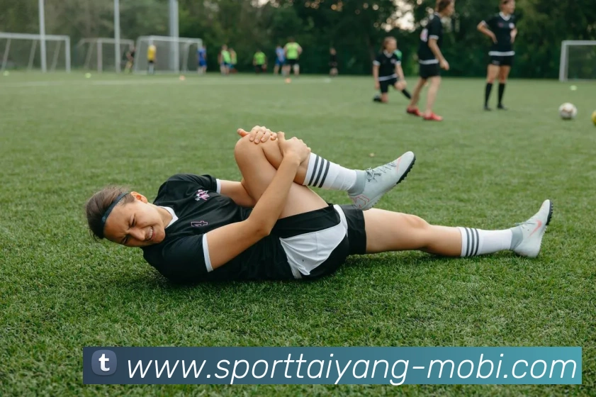 太阳城APP 高清赛事图